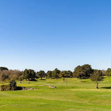 58 Plein Ouest, Pied